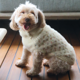 Елегантен кучешки пуловер Croci JUMPER HONEYCOMB 50см